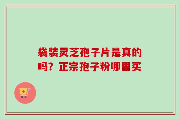 袋装灵芝孢子片是真的吗？正宗孢子粉哪里买