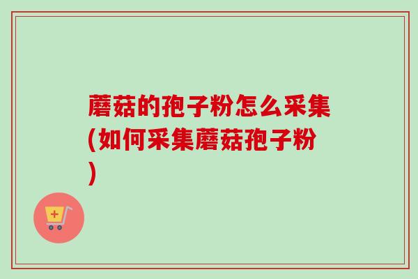 蘑菇的孢子粉怎么采集(如何采集蘑菇孢子粉)