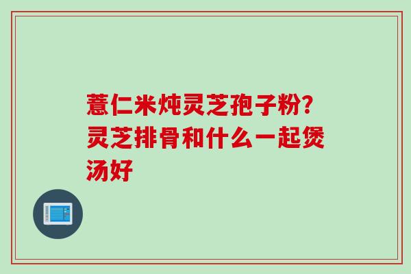 薏仁米炖灵芝孢子粉？灵芝排骨和什么一起煲汤好