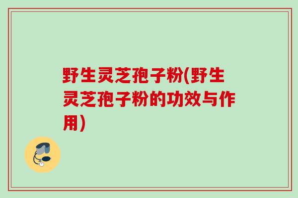 野生灵芝孢子粉(野生灵芝孢子粉的功效与作用)