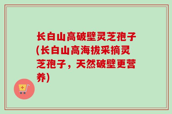 长白山高破壁灵芝孢子(长白山高海拔采摘灵芝孢子，天然破壁更营养)