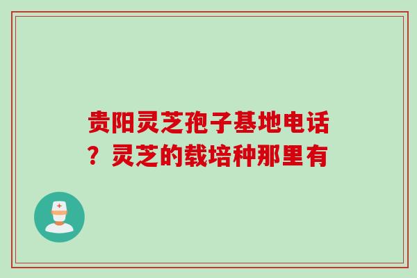 贵阳灵芝孢子基地电话？灵芝的载培种那里有