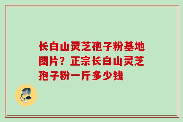 长白山灵芝孢子粉基地图片？正宗长白山灵芝孢子粉一斤多少钱