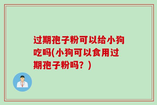 过期孢子粉可以给小狗吃吗(小狗可以食用过期孢子粉吗?) 过期孢子粉可以给小狗吃吗(小狗可以食用过期孢子粉吗?)