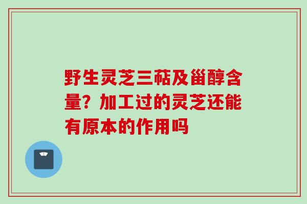 野生灵芝三萜及甾醇含量？加工过的灵芝还能有原本的作用吗