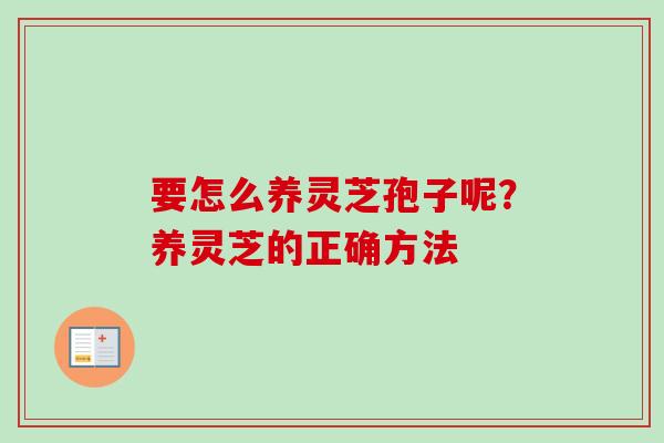 要怎么养灵芝孢子呢？养灵芝的正确方法