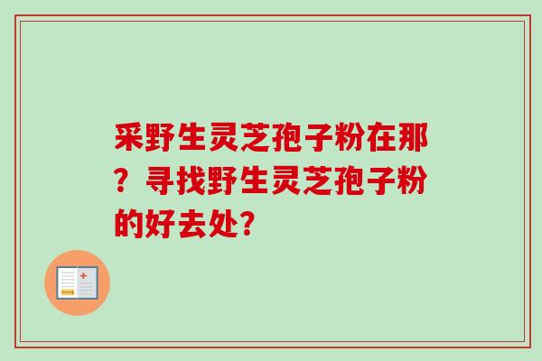 采野生灵芝孢子粉在那？寻找野生灵芝孢子粉的好去处？