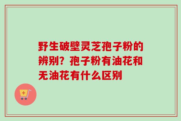 野生破壁灵芝孢子粉的辨别？孢子粉有油花和无油花有什么区别