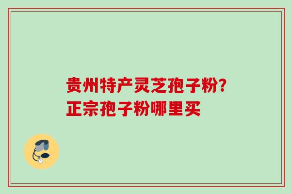 贵州特产灵芝孢子粉？正宗孢子粉哪里买