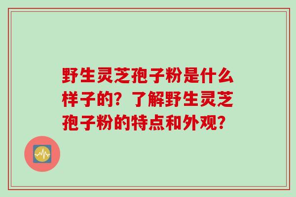 野生灵芝孢子粉是什么样子的？了解野生灵芝孢子粉的特点和外观？