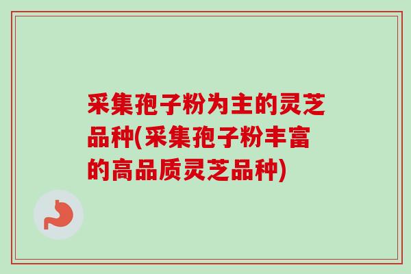 采集孢子粉为主的灵芝品种(采集孢子粉丰富的高品质灵芝品种)