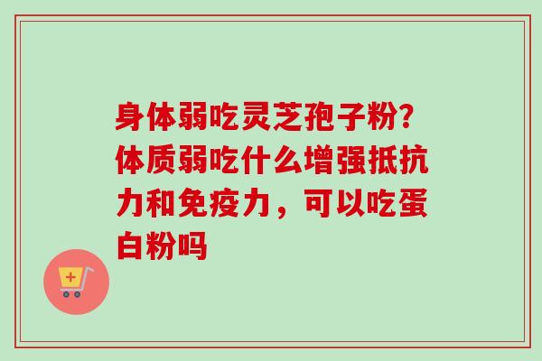 身体弱吃灵芝孢子粉?体质弱吃什么增强抵抗力和免疫力,可以吃蛋白粉吗 身体弱吃灵芝孢子粉?体质弱吃什么增强抵抗力和免疫力,可以吃蛋白粉吗