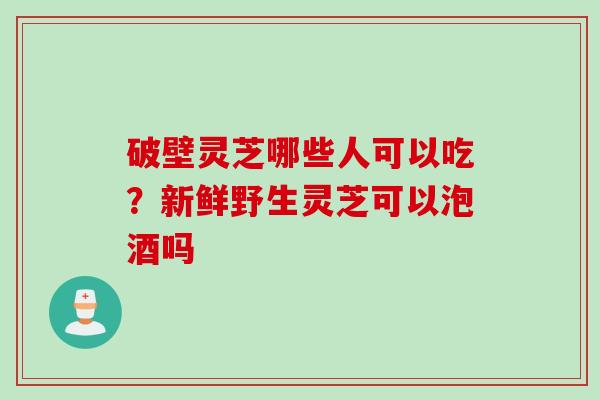 破壁灵芝哪些人可以吃？新鲜野生灵芝可以泡酒吗