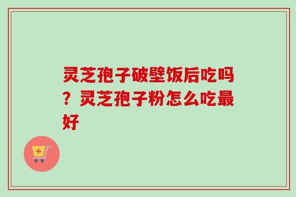 灵芝孢子破壁饭后吃吗？灵芝孢子粉怎么吃最好