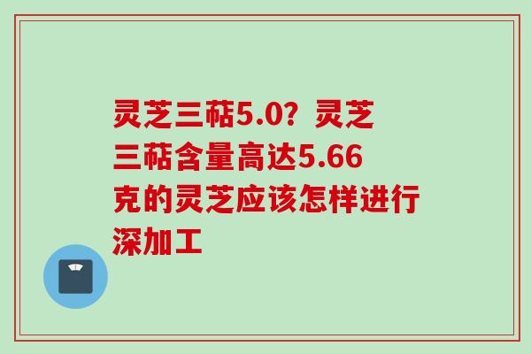 灵芝三萜5.0？灵芝三萜含量高达5.66克的灵芝应该怎样进行深加工