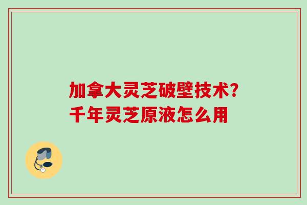 加拿大灵芝破壁技术？千年灵芝原液怎么用