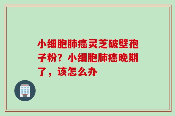 小细胞肺癌灵芝破壁孢子粉？小细胞肺癌晚期了，该怎么办