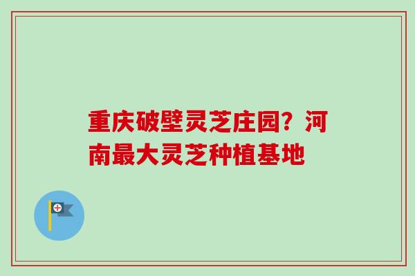 重庆破壁灵芝庄园？河南最大灵芝种植基地
