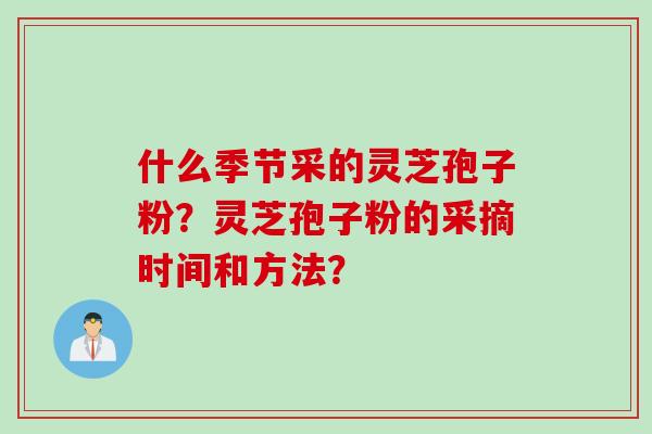 什么季节采的灵芝孢子粉？灵芝孢子粉的采摘时间和方法？