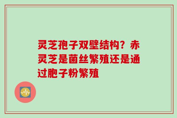 灵芝孢子双壁结构？赤灵芝是菌丝繁殖还是通过胞子粉繁殖