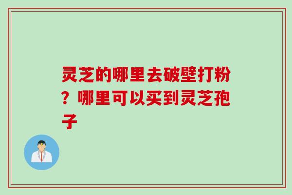 灵芝的哪里去破壁打粉？哪里可以买到灵芝孢子