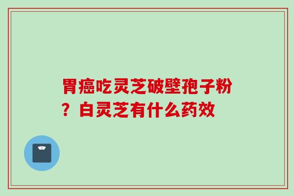 胃癌吃灵芝破壁孢子粉？白灵芝有什么药效