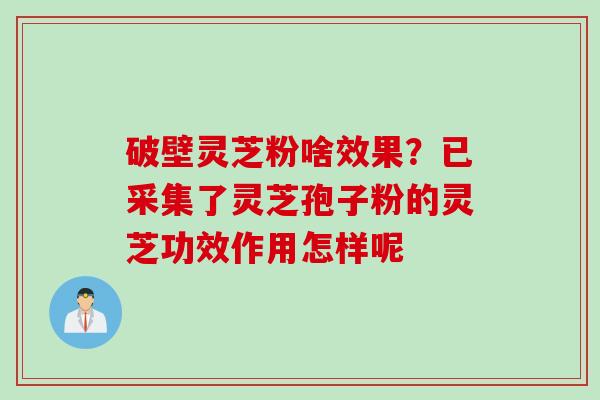 破壁灵芝粉啥效果？已采集了灵芝孢子粉的灵芝功效作用怎样呢