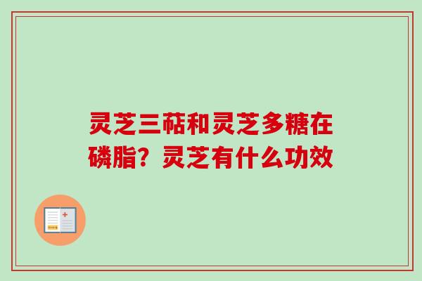 灵芝三萜和灵芝多糖在磷脂？灵芝有什么功效