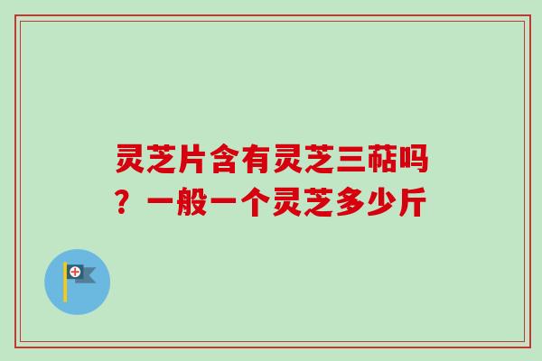 灵芝片含有灵芝三萜吗？一般一个灵芝多少斤
