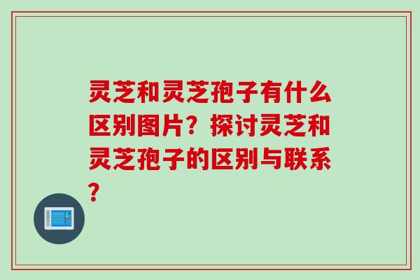 灵芝和灵芝孢子有什么区别图片？探讨灵芝和灵芝孢子的区别与联系？