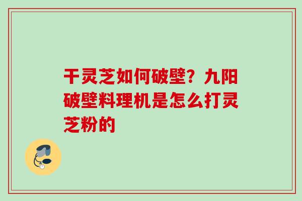 干灵芝如何破壁？九阳破壁料理机是怎么打灵芝粉的