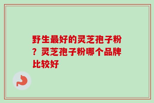 野生最好的灵芝孢子粉？灵芝孢子粉哪个品牌比较好