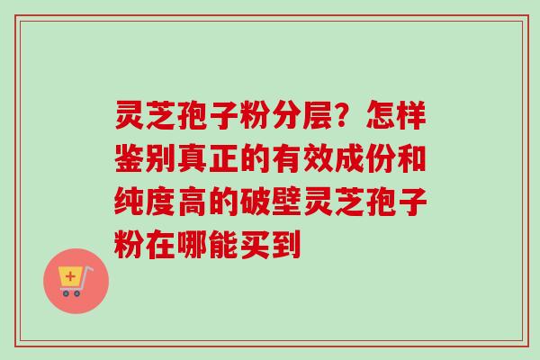 灵芝孢子粉分层？怎样鉴别真正的有效成份和纯度高的破壁灵芝孢子粉在哪能买到