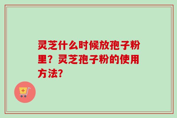 灵芝什么时候放孢子粉里？灵芝孢子粉的使用方法？