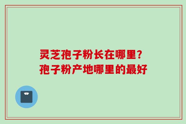 灵芝孢子粉长在哪里?孢子粉产地哪里的好 灵芝孢子粉长在哪里?孢子粉产地哪里的好