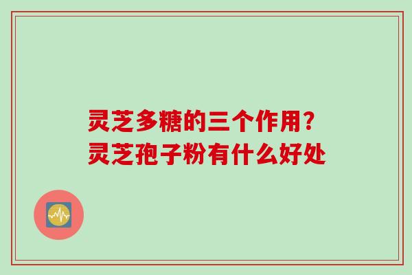 灵芝多糖的三个作用？灵芝孢子粉有什么好处