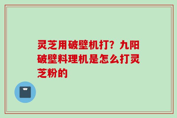 灵芝用破壁机打？九阳破壁料理机是怎么打灵芝粉的