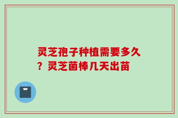 灵芝孢子种植需要多久?灵芝菌棒几天出苗 灵芝孢子种植需要多久?灵芝菌棒几天出苗