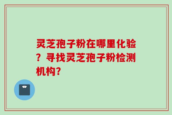 灵芝孢子粉在哪里化验？寻找灵芝孢子粉检测机构？