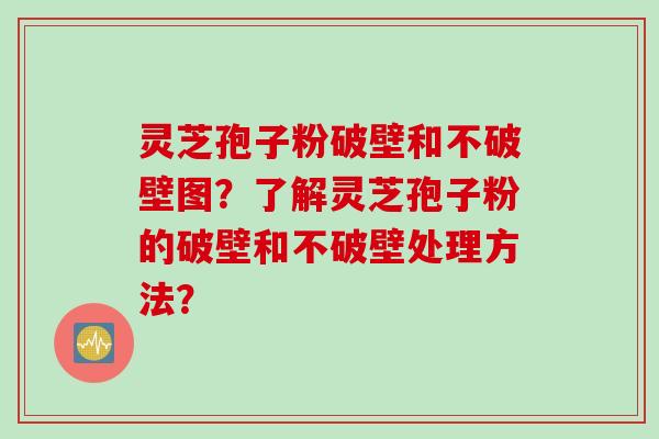 灵芝孢子粉破壁和不破壁图?了解灵芝孢子粉的破壁和不破壁处理方法? 灵芝孢子粉破壁和不破壁图?了解灵芝孢子粉的破壁和不破壁处理方法?