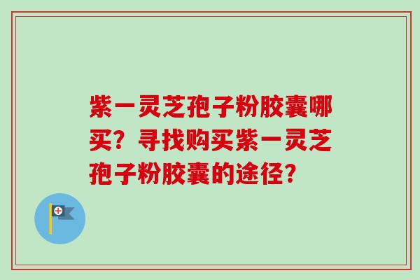 紫一灵芝孢子粉胶囊哪买？寻找购买紫一灵芝孢子粉胶囊的途径？