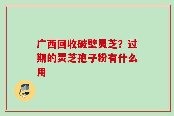 广西回收破壁灵芝？过期的灵芝孢子粉有什么用