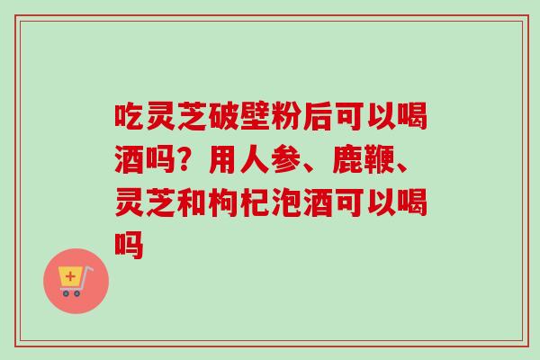 吃灵芝破壁粉后可以喝酒吗？用人参、鹿鞭、灵芝和枸杞泡酒可以喝吗