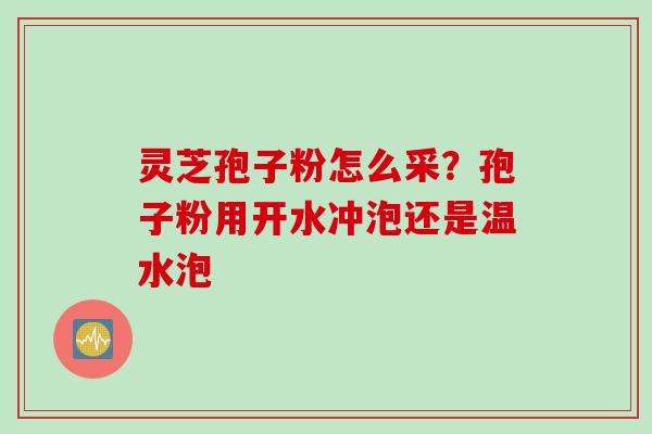 灵芝孢子粉怎么采?孢子粉用开水冲泡还是温水泡 灵芝孢子粉怎么采?孢子粉用开水冲泡还是温水泡