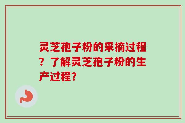 灵芝孢子粉的采摘过程？了解灵芝孢子粉的生产过程？