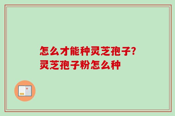 怎么才能种灵芝孢子？灵芝孢子粉怎么种