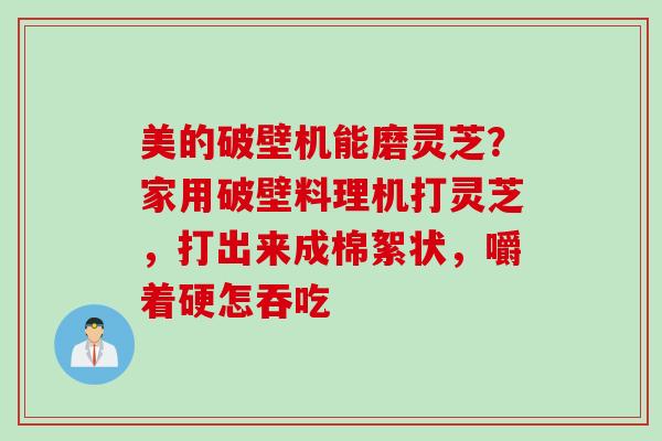 美的破壁机能磨灵芝？家用破壁料理机打灵芝，打出来成棉絮状，嚼着硬怎吞吃