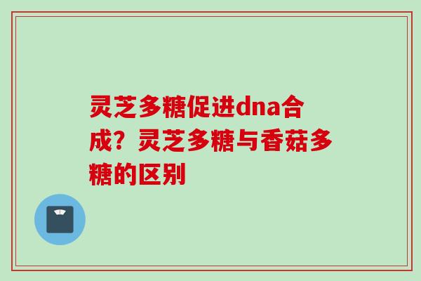灵芝多糖促进dna合成？灵芝多糖与香菇多糖的区别