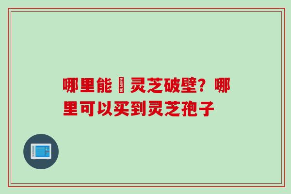 哪里能給灵芝破壁？哪里可以买到灵芝孢子