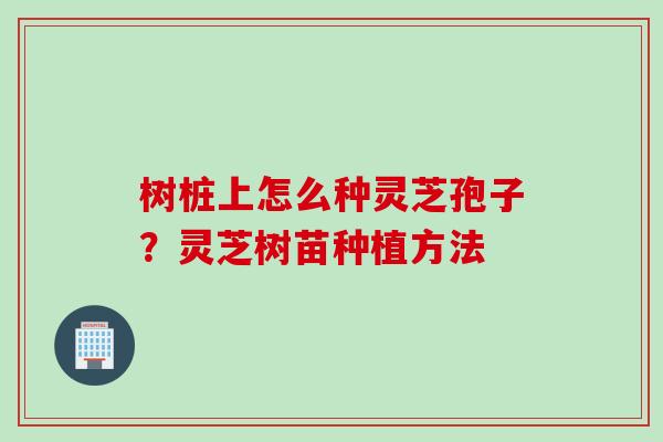 树桩上怎么种灵芝孢子？灵芝树苗种植方法